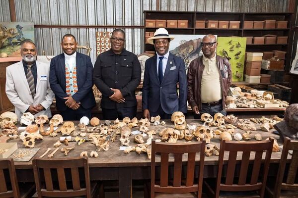 Visit the Ancestors: South Africa Reopens Famous Sterkfontein Caves Visit the Ancestors: South Africa Reopens Famous Sterkfontein Caves - Sputnik Africa