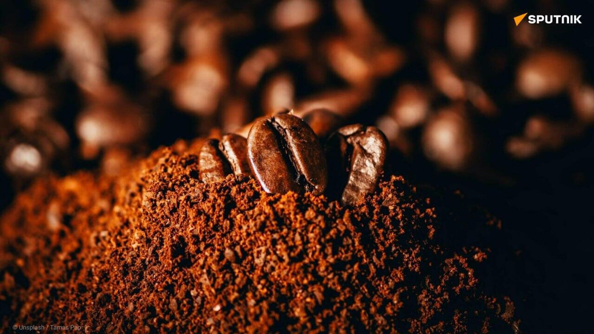 Cocoa Prosperity: Key is African Processing & Consumption Cocoa Prosperity: Key is African Processing & Consumption - Sputnik Africa, 1920, 16.04.2025