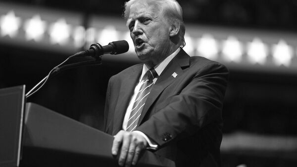 Droits de douane: c'est toute l'industrie US, pas uniquement militaire, qui va devenir caduque - Sputnik Afrique
