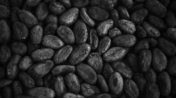 Tarifs US sur la Côte d’Ivoire: quel impact sur le secteur du cacao? - Sputnik Afrique