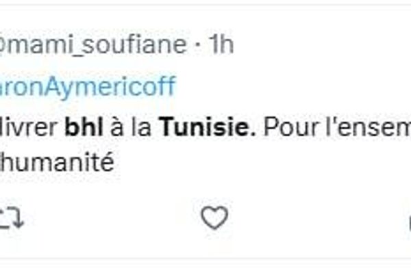 Bernard-Henri Lévy condamné à 33 ans de prison en Tunisie: des internautes exigent son extradition Bernard-Henri Lévy condamné à 33 ans de prison en Tunisie: des internautes exigent son extradition - Sputnik Afrique