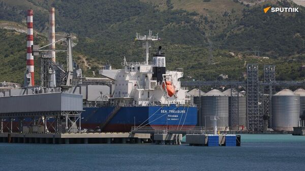 Une ligne maritime reliant la Russie au Nigeria renforcera les échanges commerciaux avec le Mali - Sputnik Afrique