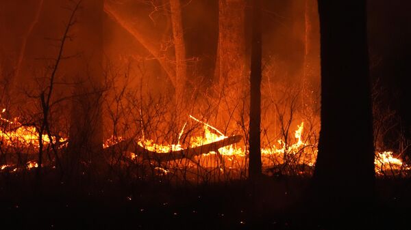 A fire burns on Tuesday, April 22, 2025, near Waretown, N.J. - Sputnik Africa