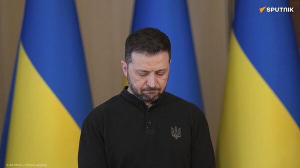 Qu'il s'en aille!: des partis sud-africains disent non à la visite de Zelensky à Pretoria - Sputnik Afrique