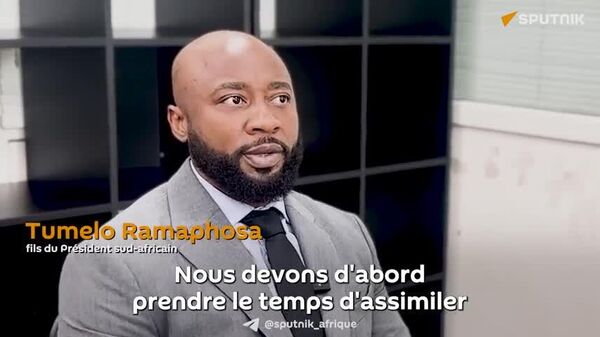Effet domino: les droits de douanes américains peuvent créer d'autres opportunités pour l'Afrique - Sputnik Afrique