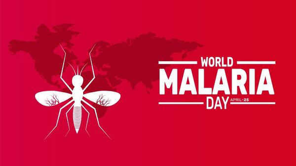 'Reinvest, Reimagine, Reignite': WHO Calls to Boost Efforts to Fight Malaria - Sputnik Africa