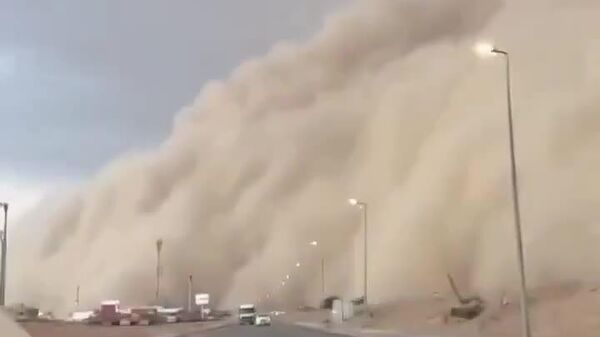 #viral | Powerful Dust Storm Hits Egyptian Town of Sallum - Sputnik Africa