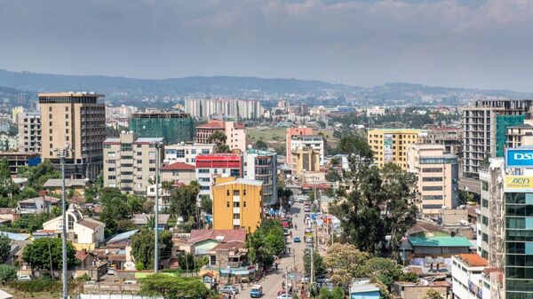 Ethiopia Can Become Gateway to African Market: Ambassador - Sputnik Africa