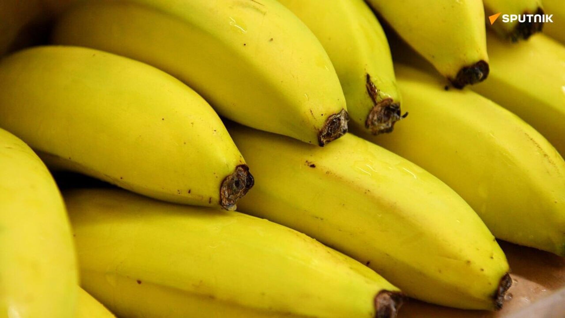 Bananas: New Opportunity for Africa Amid Climate Change Bananas: New Opportunity for Africa Amid Climate Change - Sputnik Africa, 1920, 01.05.2025