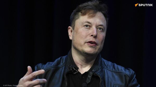 Ils louent des stades!: Musk accuse les fonctionnaires d'État d'avoir gaspillé l'argent dans de grosses fêtes - Sputnik Afrique