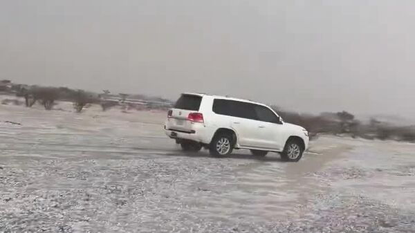 #viral | It's Almost Winter Wonderland in Saudi Arabia - Sputnik Africa