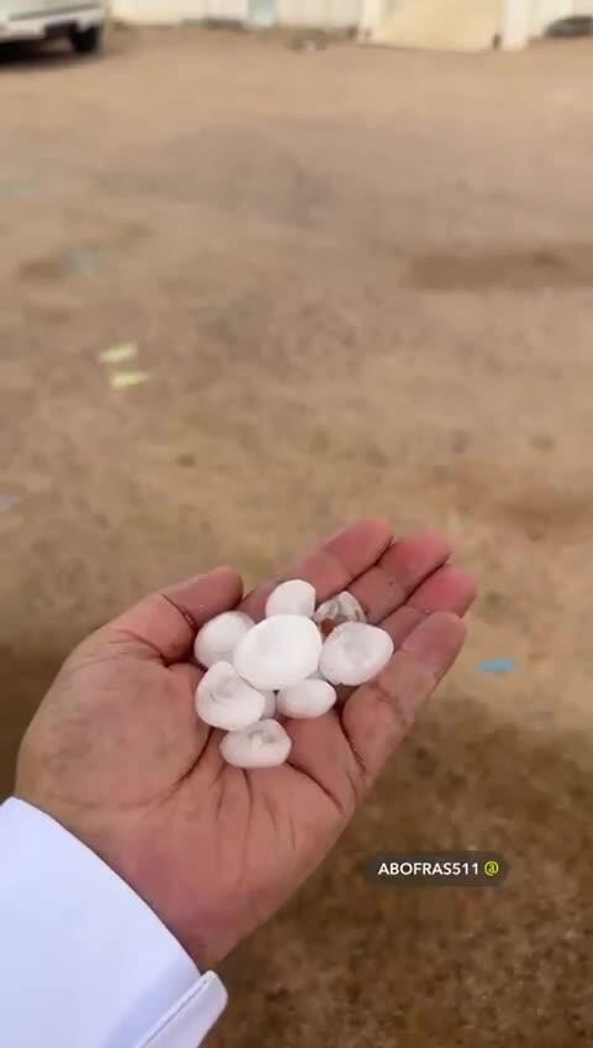 #viral | It's Almost Winter Wonderland in Saudi Arabia - Sputnik Africa, 1920, 03.05.2025
