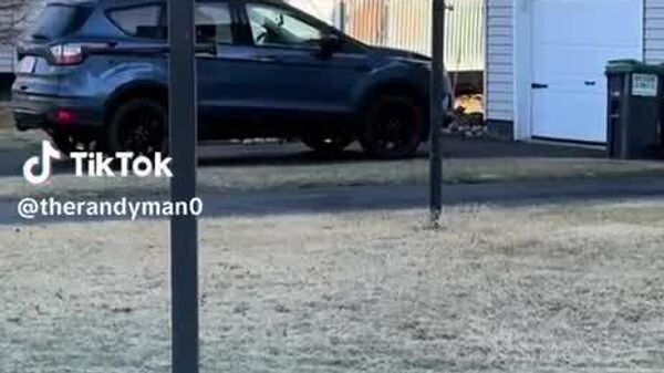 Un oiseau fait régner la terreur dans un petite ville du Massachusetts - Sputnik Afrique