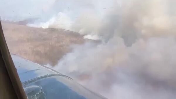 #viral | Russian Firefighters Put Down 81 Forest Fires on 128,000 Ha in One Week - Sputnik Africa