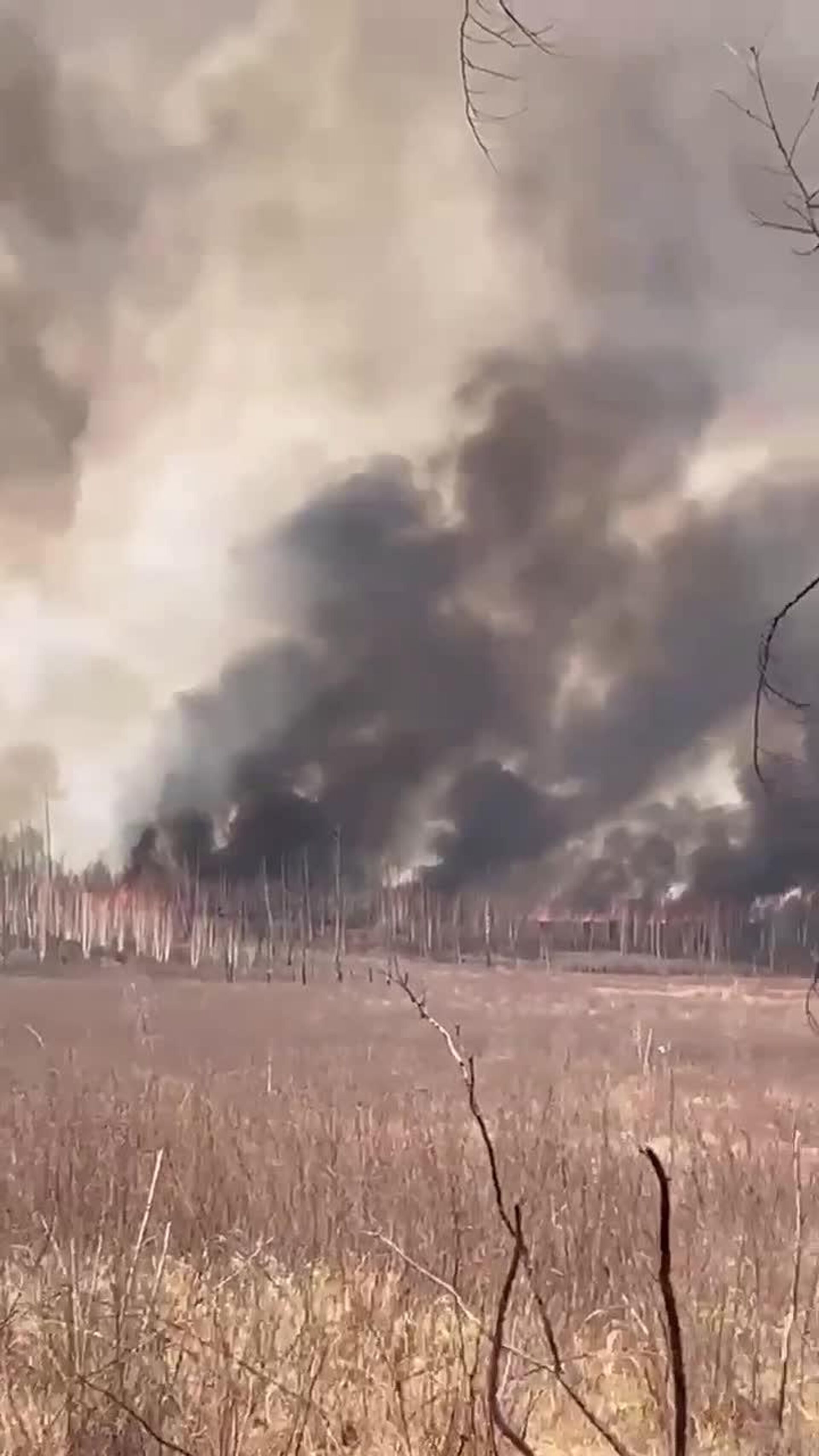 #viral | Russian Firefighters Put Down 81 Forest Fires on 128,000 Ha in One Week - Sputnik Africa, 1920, 04.05.2025