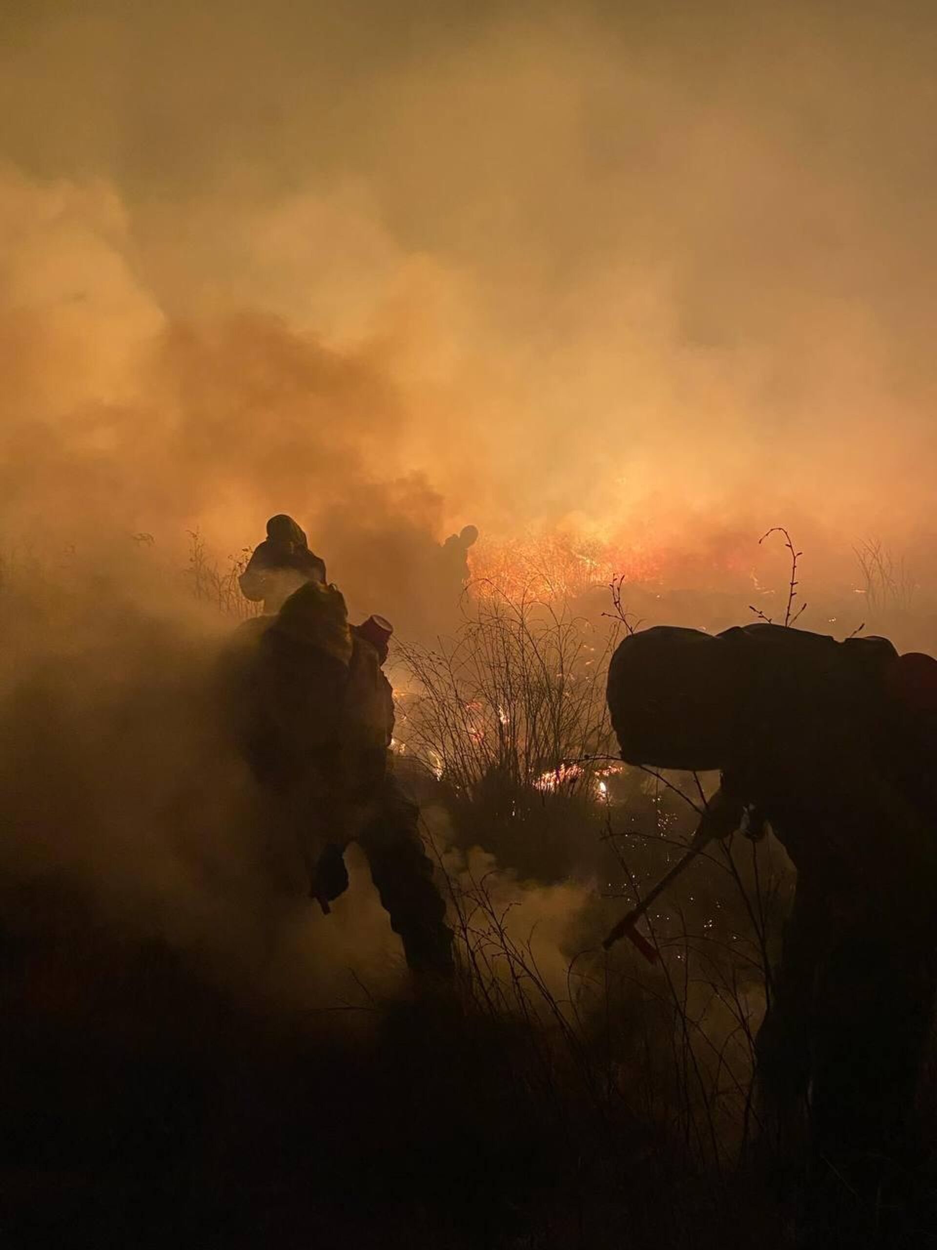 #viral | Russian Firefighters Put Down 81 Forest Fires on 128,000 Ha in One Week - Sputnik Africa, 1920, 04.05.2025