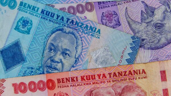Bank of Tanzania Bans Use of Foreign Currency for Local Transactions - Sputnik Africa