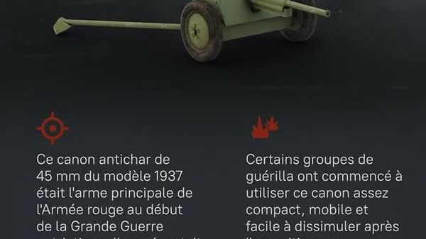 Les géants d'acier qui ont écrasé le nazisme! Le canon légendaire de 45 mm - Sputnik Afrique