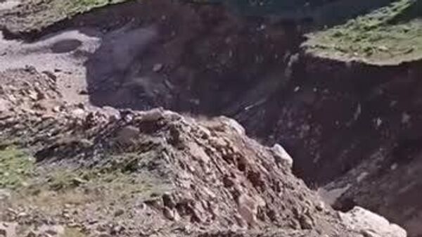 #viral | Chubby Brown Bear Caught on Camera Roaming Northern Iran's Mountains - Sputnik Africa