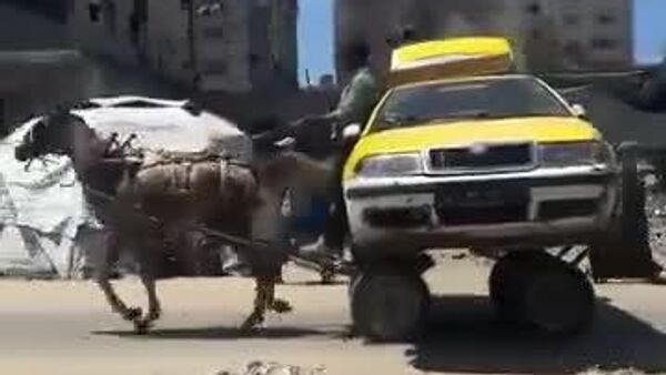 #viral | Wheels of Resilience: Gaza Resident Found Unusual Way to Bypass Israel's Restrictions on Car Movement - Sputnik Africa