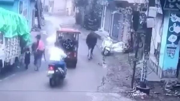 #viral | Meanwhile, Bull Hijacks Scooter in India… - Sputnik Africa