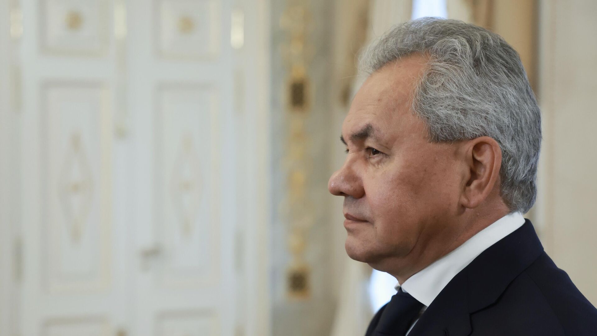 Secretary of the Russian Security Council Sergei Shoigu before a meeting in St. Petersburg between Russian President Vladimir Putin and Secretary of the Supreme National Security Council of the Islamic Republic of Iran Ali Ahmadian. September 12, 2024. Secretary of the Russian Security Council Sergei Shoigu before a meeting in St. Petersburg between Russian President Vladimir Putin and Secretary of the Supreme National Security Council of the Islamic Republic of Iran Ali Ahmadian. September 12, 2024. - Sputnik Africa, 1920, 06.05.2025