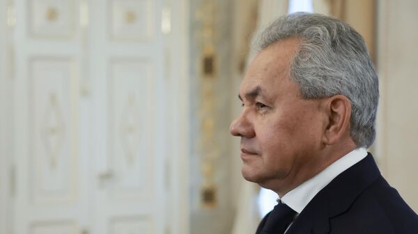 Secretary of the Russian Security Council Sergei Shoigu before a meeting in St. Petersburg between Russian President Vladimir Putin and Secretary of the Supreme National Security Council of the Islamic Republic of Iran Ali Ahmadian. September 12, 2024.  - Sputnik Africa