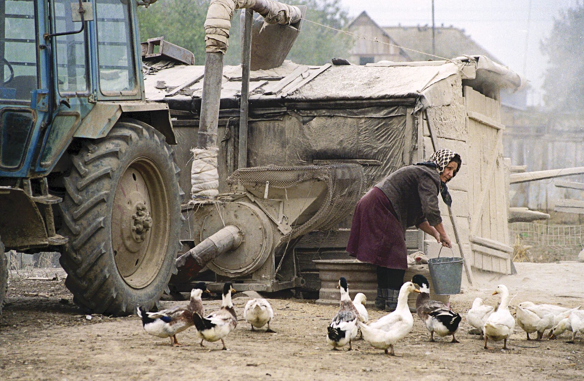 A woman feeds geese A woman feeds geese - Sputnik Africa, 1920, 07.05.2025