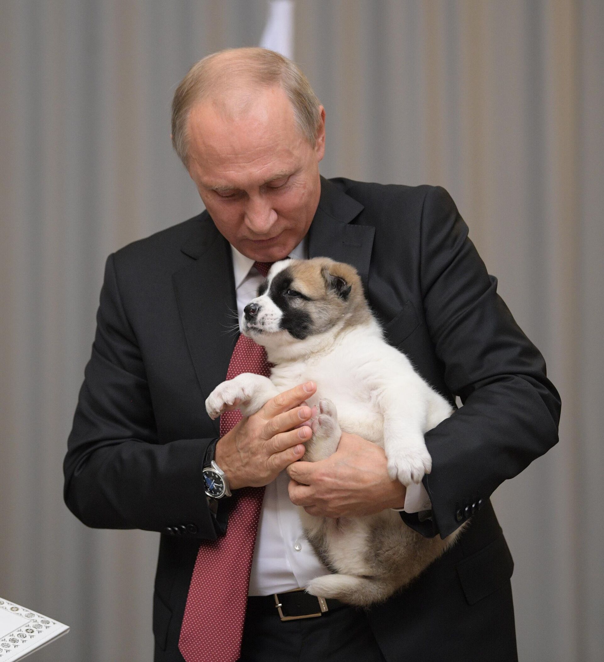Russian President Vladimir Putin. File photo Russian President Vladimir Putin. File photo - Sputnik Africa, 1920, 07.05.2025