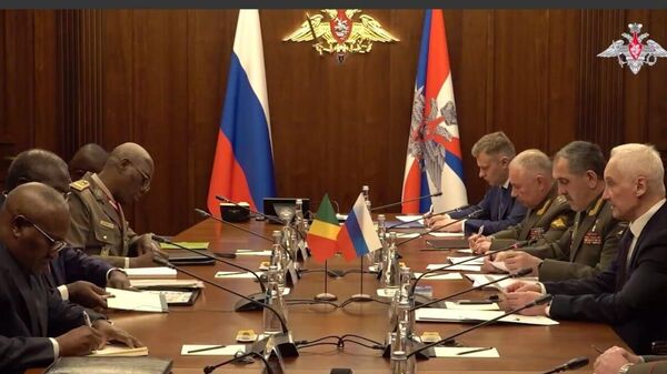 Russian Defense Minister Holds Talks With His Congolese Counterpart - Sputnik Africa