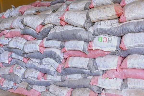 Burkina Faso Inaugurates Animal Feed Plant with 100-Tonne Daily Capacity Burkina Faso Inaugurates Animal Feed Plant with 100-Tonne Daily Capacity - Sputnik Africa