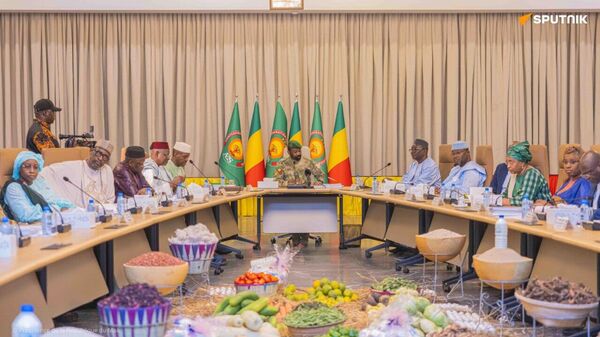 Le Mali affiche une performance agricole solide malgré les défis - Sputnik Afrique