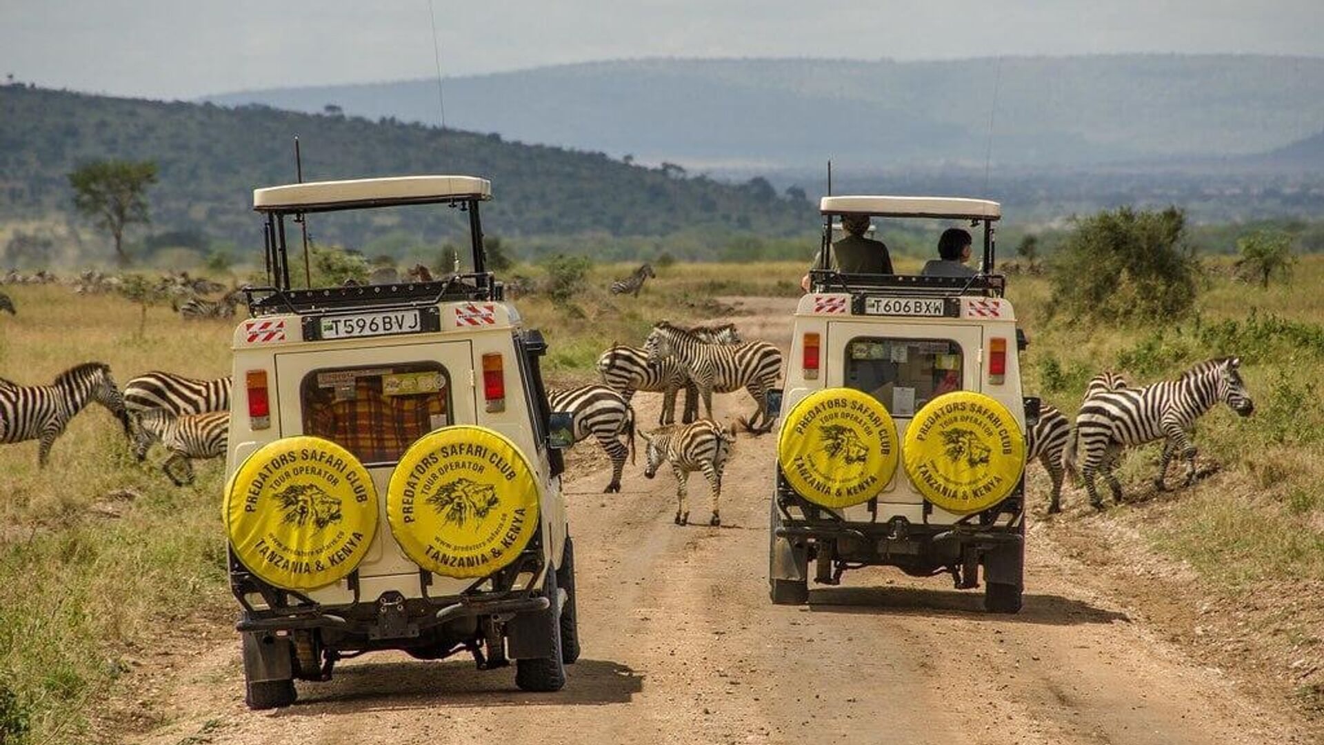 Unified African Strategy & BRICS Partnerships: Means to Showcase Africa's Tourism Potential? Unified African Strategy & BRICS Partnerships: Means to Showcase Africa's Tourism Potential? - Sputnik Africa, 1920, 10.05.2025