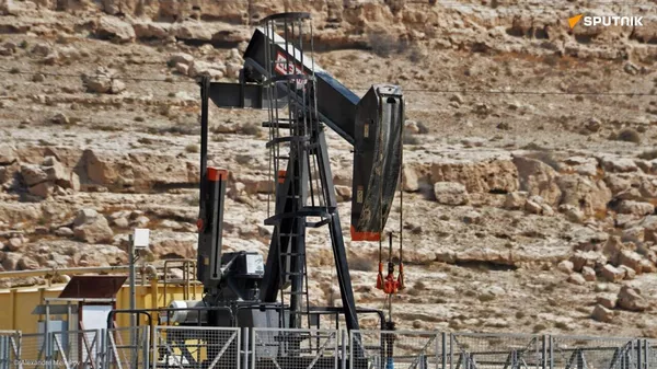 Or noir et or bleu: trois gisements de pétrole et de gaz découverts en Égypte! - Sputnik Afrique