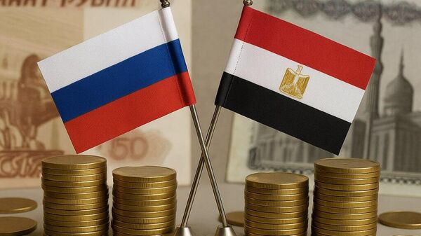 Russia and Egypt to Boost Trade by Transitioning to National Currencies - Sputnik Africa