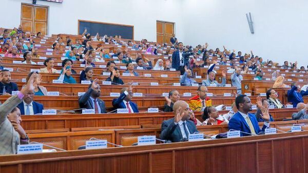 Ethiopia to Join African Finance Corporation — Major Boost for Trade & Infrastructure - Sputnik Africa