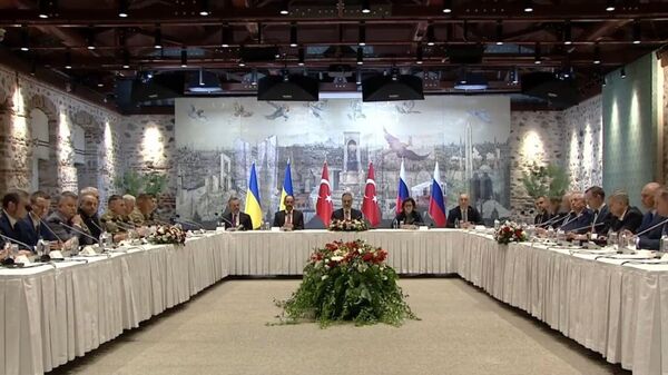 Russian and Ukrainian delegations hold talks in Istanbul Russian and Ukrainian delegations hold talks in Istanbul - Sputnik Africa