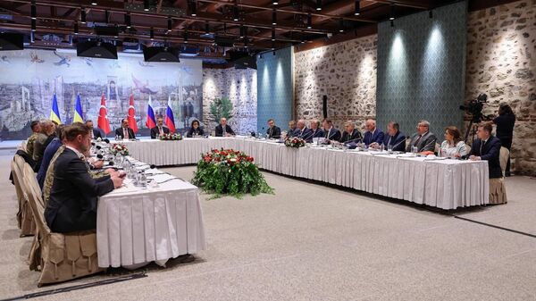 Russia-Ukraine talks in Istanbul - And it's not about who's tougher - Sputnik Africa