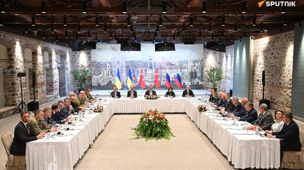 Istanbul Negotiations: 'Good Message for World to See Russia & Ukraine Sit Together for Peace' - Sputnik Africa