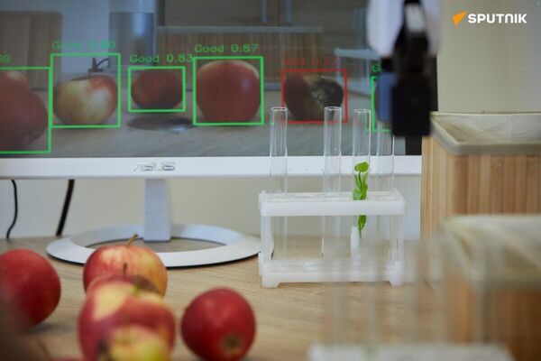 From Fields to Algorithms: How is AI Revolutionizing Russian Agriculture? From Fields to Algorithms: How is AI Revolutionizing Russian Agriculture? - Sputnik Africa