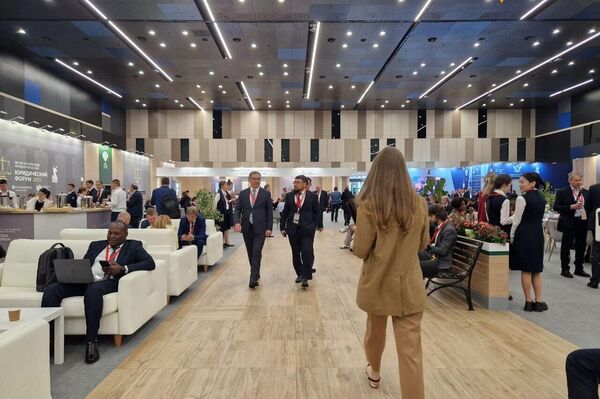 Stay Tuned for More Insights from Day Two of the 13th International Legal Forum in St - Sputnik Africa