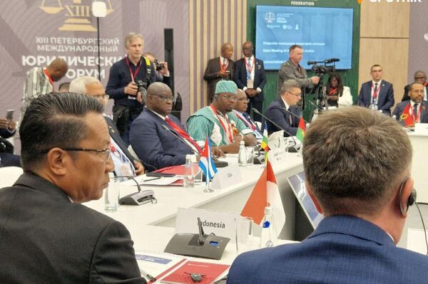 Stay Tuned for More Insights from Day Two of the 13th International Legal Forum in St - Sputnik Africa