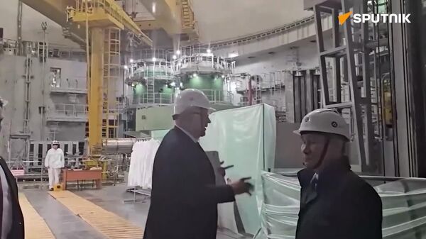 Putin Visits Kursk NPP-2's Construction Site - Sputnik Africa