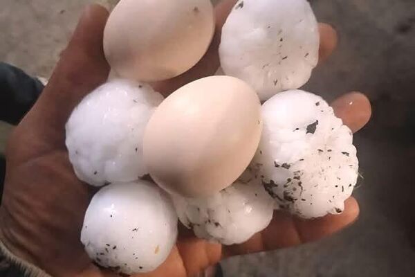 #viral | Egg-Sized Hailstorm Strikes City of Khenchela in Eastern Algeria - Sputnik Africa