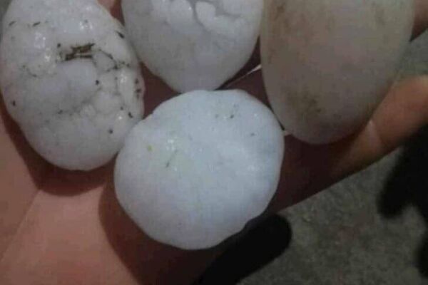 #viral | Egg-Sized Hailstorm Strikes City of Khenchela in Eastern Algeria - Sputnik Africa