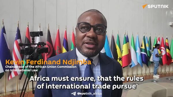 Africa Must Strive for 'Sufficiently Humane' International Trade Rules: AU Legal Chair - Sputnik Africa