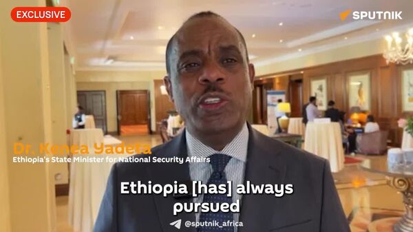 'Ethiopia Has Always Pursued Very Peaceful Diplomatic Approach': Ethiopian State Minister - Sputnik Africa