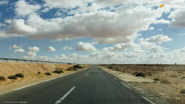 Nord-Sud vs Sud-Sud: l'Algérie opte pour l'égalité - Sputnik Afrique