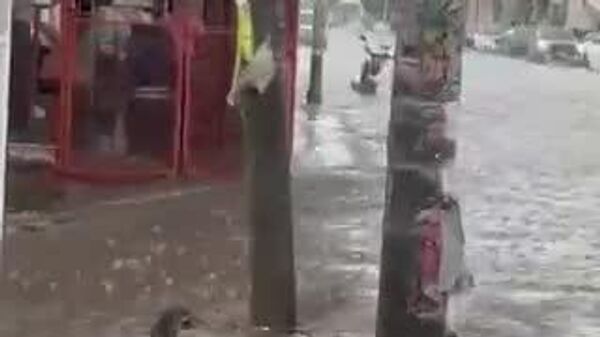 #viral | Mexico Reels From Torrential Rains: Cities Submerged - Sputnik Africa
