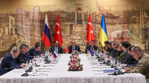Le 2e volet de négociations russo-ukrainiennes aura lieu à Istanbul le 2 juin - Sputnik Afrique